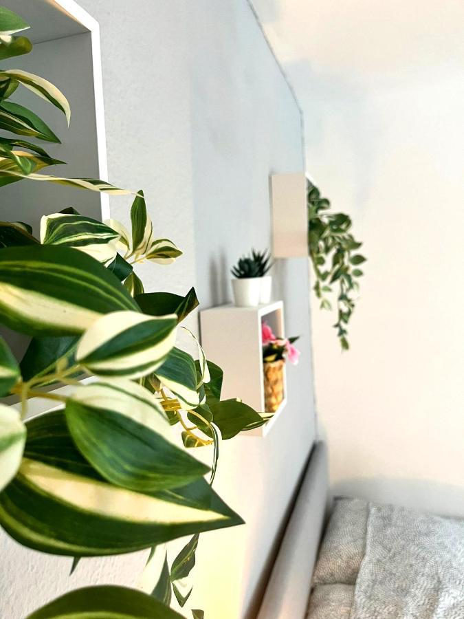 Le Revol Apartment Grenoble Ngoại thất bức ảnh